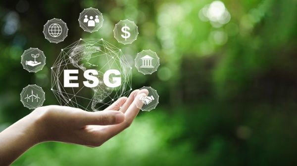 401(k) Investment Selection – Don’t Let ESG Factors Distract You